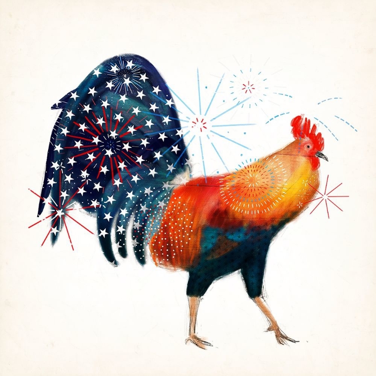 Picture of ROOSTER FIREWORKS II