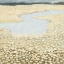 Picture of FLAXEN FIELD II
