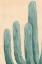 Picture of DUSTY CACTI I