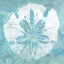 Picture of CERULEAN SHELL IV