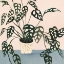 Picture of HOUSEPLANT I