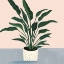 Picture of HOUSEPLANT IV