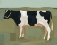 Picture of BOVINE PORTRAIT II
