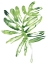 Picture of EMERALD TROPICS III