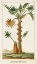 Picture of TURPIN EXOTIC PALMS I