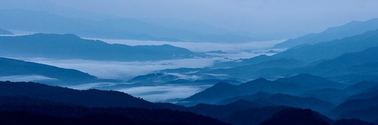 Picture of MISTY MOUNTAINS VIII