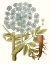 Picture of LACY LEAVES III