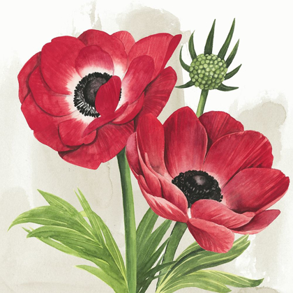 Picture of CRIMSON ANEMONES I