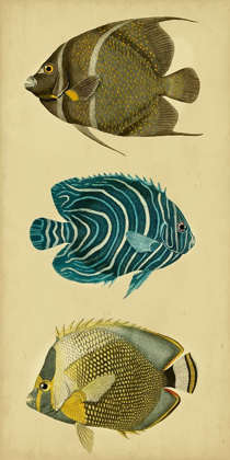 Picture of TRIO OF TROPICAL FISH III
