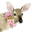 Picture of DEER SPRING I