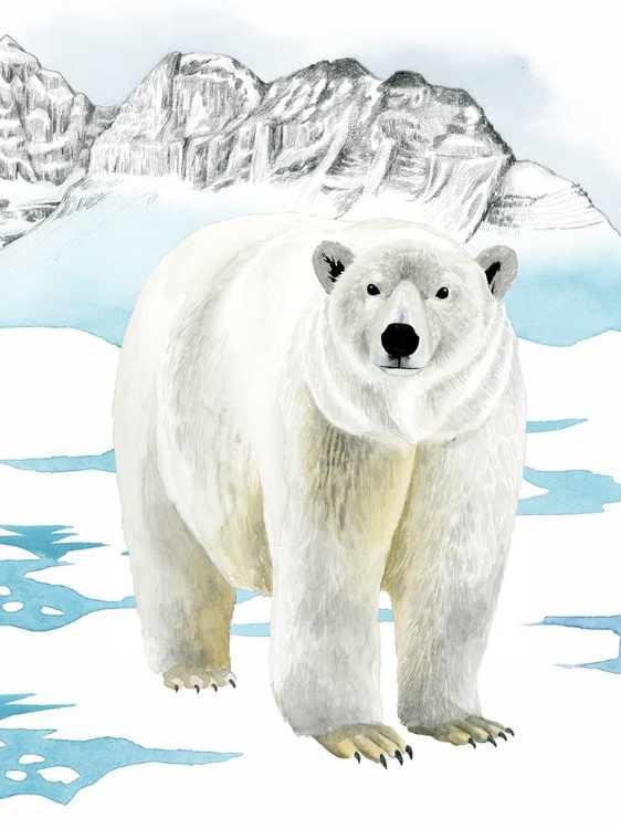 Picture of ARCTIC ANIMAL II