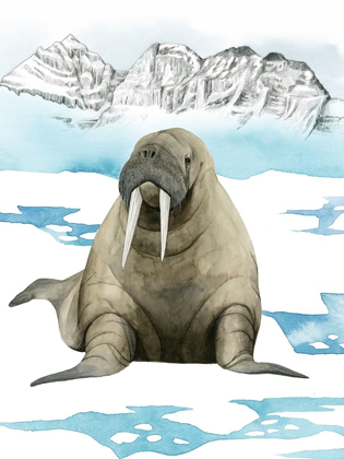 Picture of ARCTIC ANIMAL III