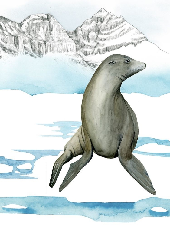 Picture of ARCTIC ANIMAL IV