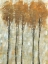 Picture of STANDING TALL IN AUTUMN II