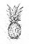 Picture of PINEAPPLE INK STUDY I