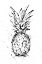 Picture of PINEAPPLE INK STUDY II