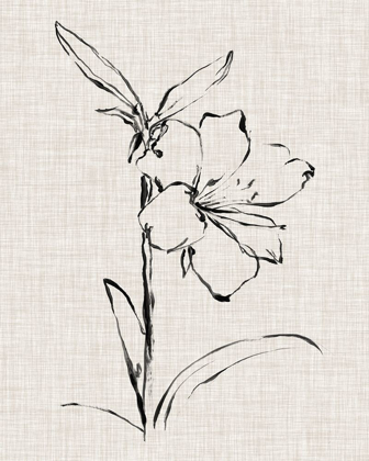 Picture of FLORAL INK STUDY I