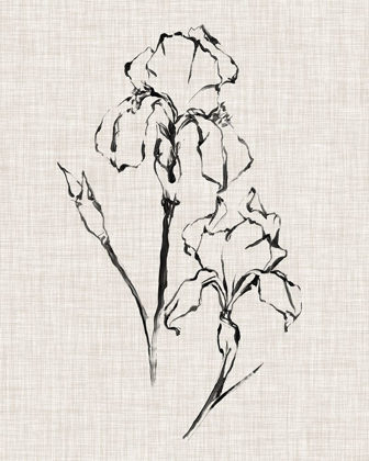 Picture of FLORAL INK STUDY II