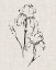Picture of FLORAL INK STUDY II