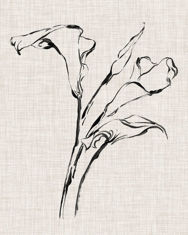 Picture of FLORAL INK STUDY IV