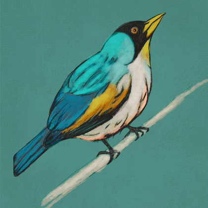 Picture of WINGED SKETCH II ON TEAL