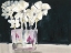 Picture of WHITE FLOWERS IN FUCHSIA II