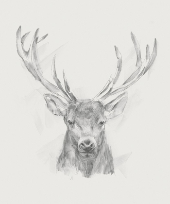 Picture of CONTEMPORARY ELK SKETCH II