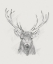 Picture of CONTEMPORARY ELK SKETCH II