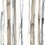 Picture of DUO TONE TREES I