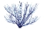 Picture of AZURE FAN II