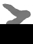 Picture of CUMULUS V