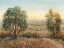 Picture of OVERLOOK I