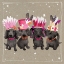 Picture of FANCYPANTS WACKY DOGS VII