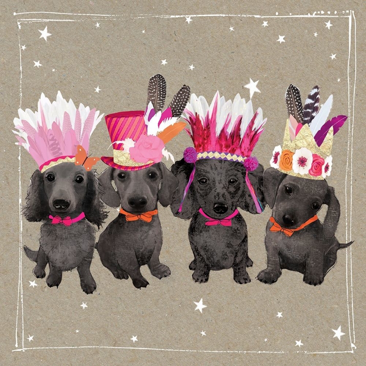 Picture of FANCYPANTS WACKY DOGS VII