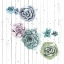 Picture of SHIPLAP SUCCULENT CLUSTER IV