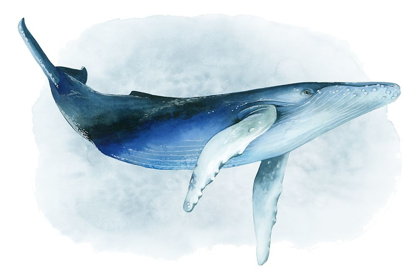 Picture of WATERCOLOR HUMPBACK I
