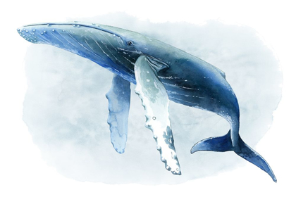 Picture of WATERCOLOR HUMPBACK II