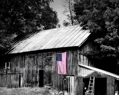 Picture of FLAGS OF OUR FARMERS III