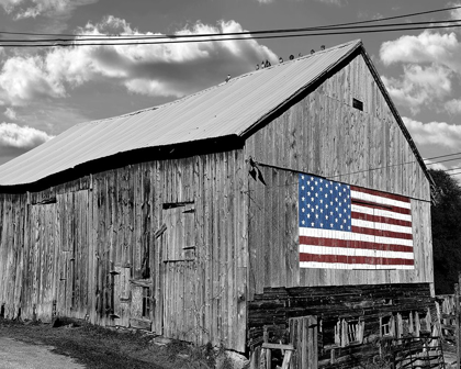 Picture of FLAGS OF OUR FARMERS IV