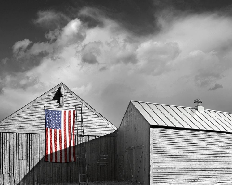 Picture of FLAGS OF OUR FARMERS V