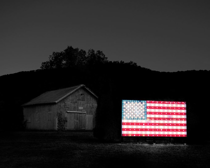 Picture of FLAGS OF OUR FARMERS VI