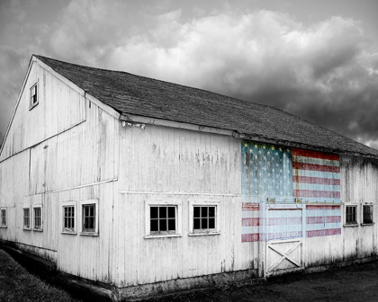 Picture of FLAGS OF OUR FARMERS VIII