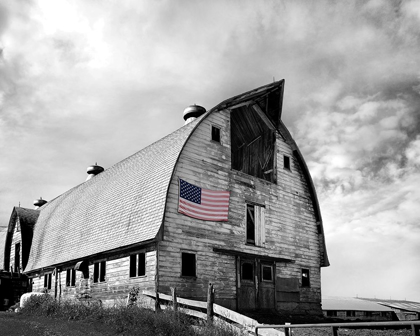 Picture of FLAGS OF OUR FARMERS X