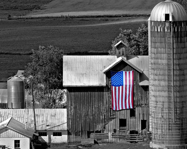 Picture of FLAGS OF OUR FARMERS XI