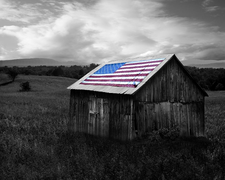 Picture of FLAGS OF OUR FARMERS XII