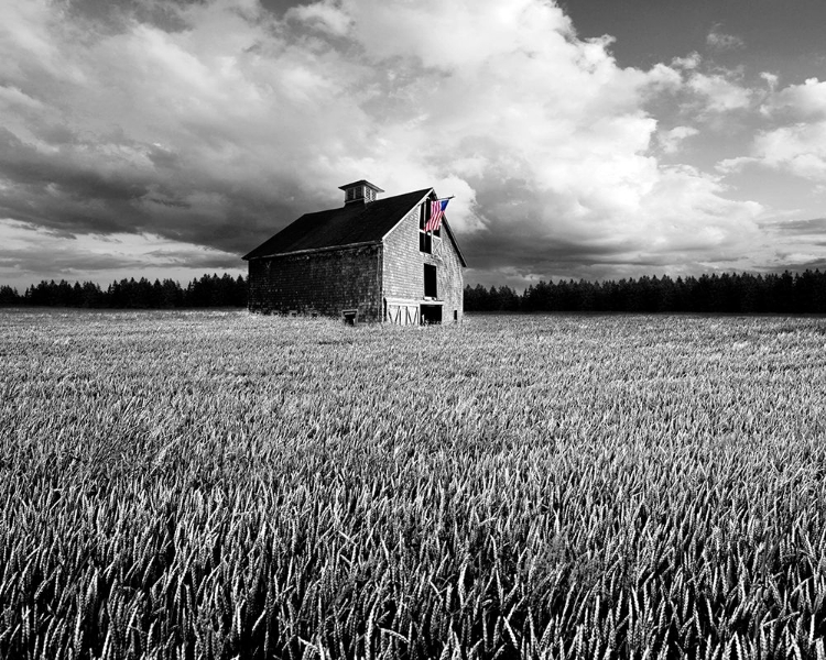 Picture of FLAGS OF OUR FARMERS XIII