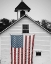 Picture of FLAGS OF OUR FARMERS XVII