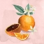 Picture of ORANGE BLOSSOM I