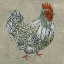 Picture of ROOST I