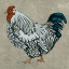 Picture of ROOST IV
